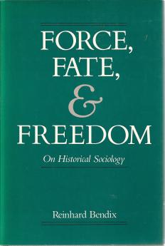 Counter-Narratives and Organization