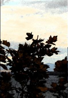 Deep Apple Pie Language and the Law in Canada