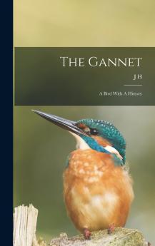 Gannet: A Bird With a History (Classic Reprint)