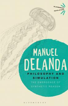 Philosophy and Simulation