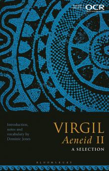Virgil Aeneid II: A Selection