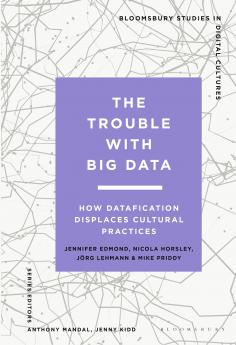 Trouble With Big Data