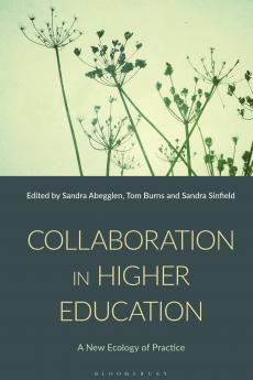 Collaboration in Higher Education