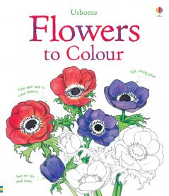 FLOWERS TO COLOUR