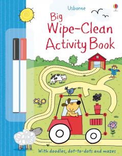BIG WIPE-CLEAN ACTIVITY BOOK