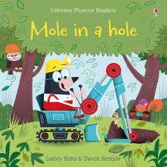 MOLE IN A HOLE