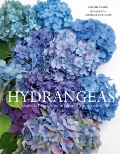 HYDRANGEAS