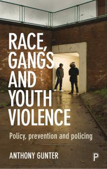 Race_Gangs and Youth Violence