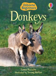 Donkeys