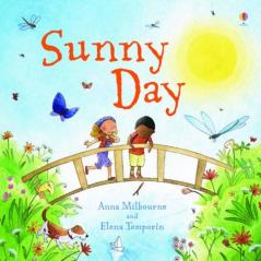 Little Board Book: Sunny Day