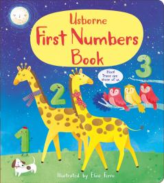 FIRST NUMBERS BOOK