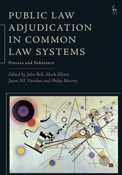 Public Law Adjudication in Common Law Systems