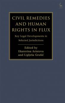 Civil Remedies and Human Rights in Flux