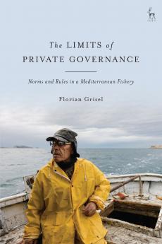 Limits of Private Governance