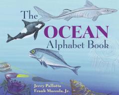 Ocean Alphabet Board Book