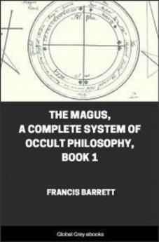 The Magus Book 1