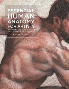 ESSENTIAL HUMAN ANATOMY FOR ARTISTS