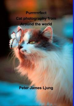 PURRRRRRFECT Cat photography