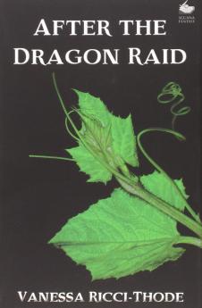 After the Dragon Raid