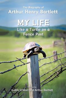My Life like a Turtle on a Fence Post