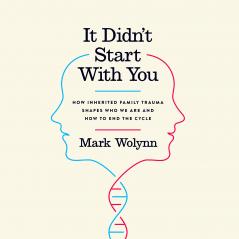 IT DIDN'T START WITH YOU : HOW INHERITED FAMILY TRAUMA SHAPES WHO WE ARE AND HOW TO END THE CYCLE