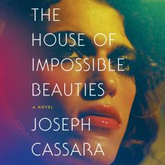 THE HOUSE OF IMPOSSIBLE BEAUTIES