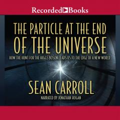 PARTICLE AT THE END OF THE UNIVERSE THE