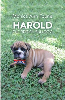 Harold The British Bulldog