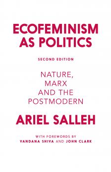 Ecofeminism as Politics