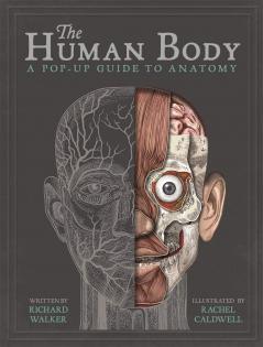 HUMAN BODY THE