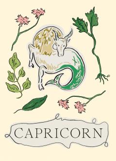 CAPRICORN