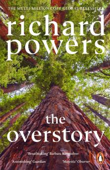 THE OVERSTORY