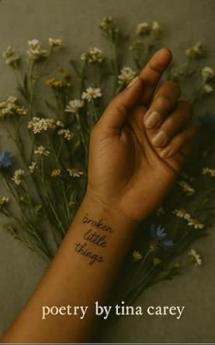 broken little things