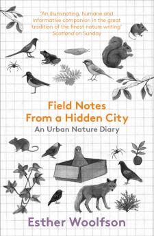 Field Notes from a Hidden City