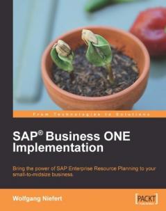 SAP Business ONE Implementation