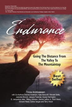 Endurance: Going The Distance From The Valley To The Mountaintop: 3 (Warrior)