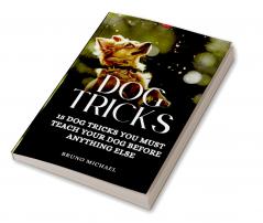 Dog Tricks