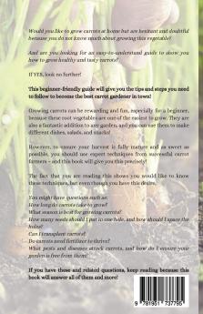 How to Grow Carrots for Beginners