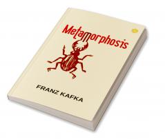 7 Minutes Return : A Novel