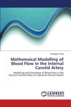 Mathemaical Modelling of Blood Flow in the Internal Carotid Artery