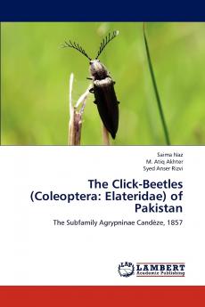 The Click-Beetles (Coleoptera