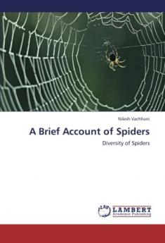 A Brief Account of Spiders