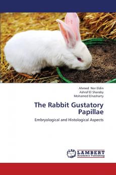 The Rabbit Gustatory Papillae