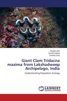 Giant Clam Tridacna Maxima from Lakshadweep Archipelago India