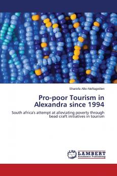 Pro-Poor Tourism in Alexandra Since 1994