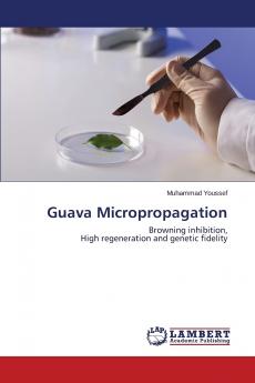 Guava Micropropagation