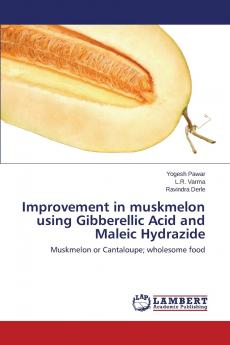 Improvement in Muskmelon Using Gibberellic Acid and Maleic Hydrazide