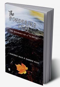 THE PONDERING LEAF: The journey of a SURFER