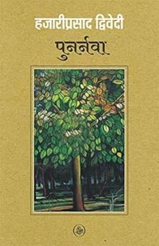 Punarnava