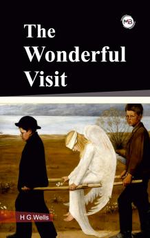 THE WONDERFUL VISIT